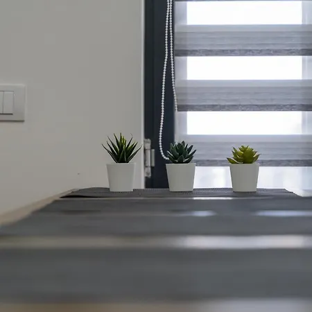 Mala Vida Apartment Zlatibor